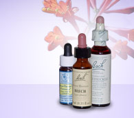 Healing Solutions For You Serenity Dylan Flower Essence Therapy